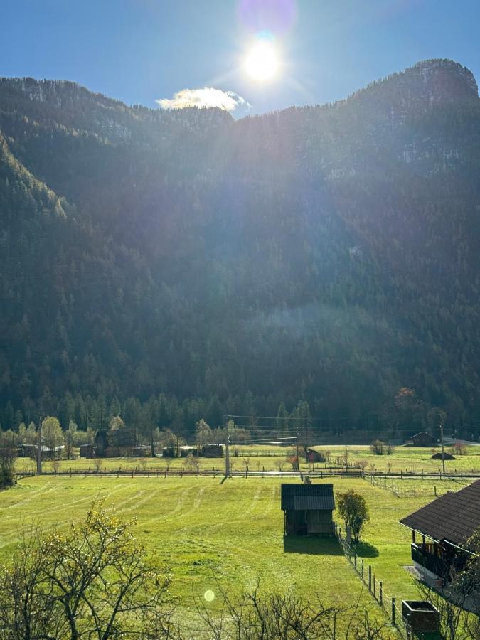 Отель Haus Edelweiss Обертраун Экстерьер фото